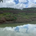 Bán 5,7ha đất nông nghiệp Đắk Mil Lâm Đồng 82tr/sào - Ảnh thu nhỏ 2