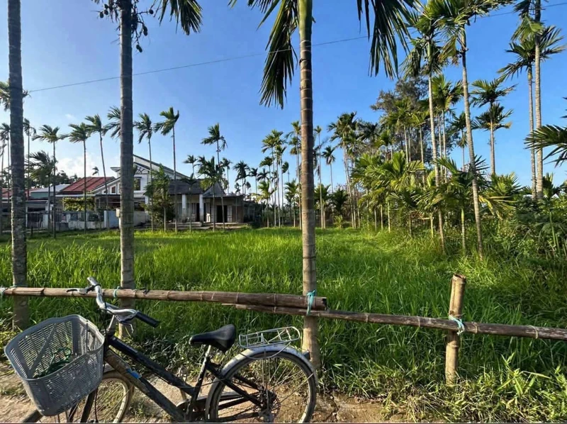 Bán đất nền 100m2 sổ hồng tại Duy Vinh, gần Hội An, giá 800 triệu/lô