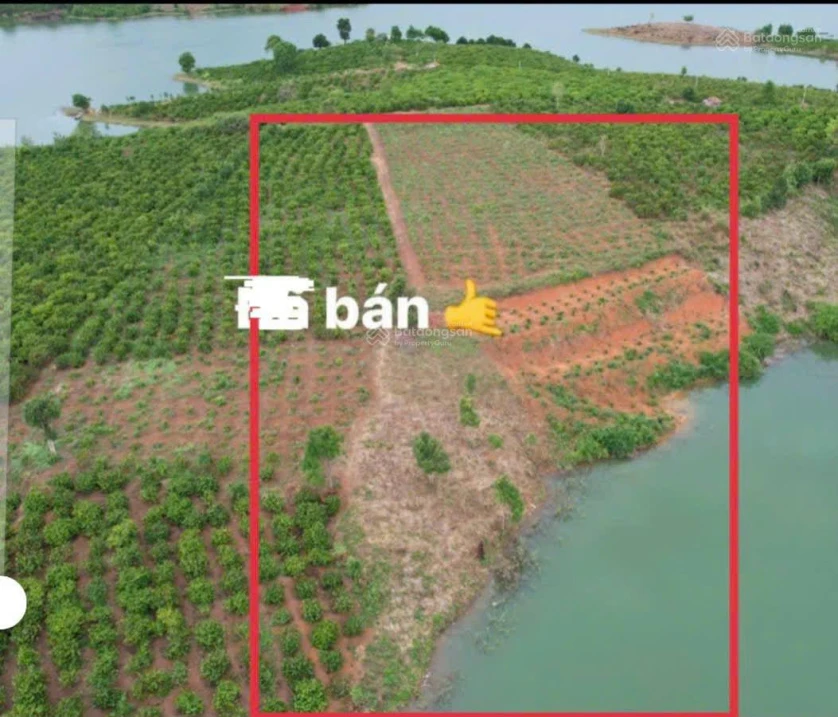Bán đất Đăk Mar Đăk Hà Kon Tum giá tốt - Ảnh thu nhỏ 2