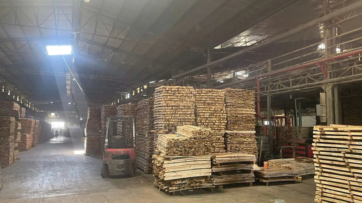 Cho thuê nhà xưởng 5300m2 Biên Hòa, Đồng Nai - Ảnh thu nhỏ 4