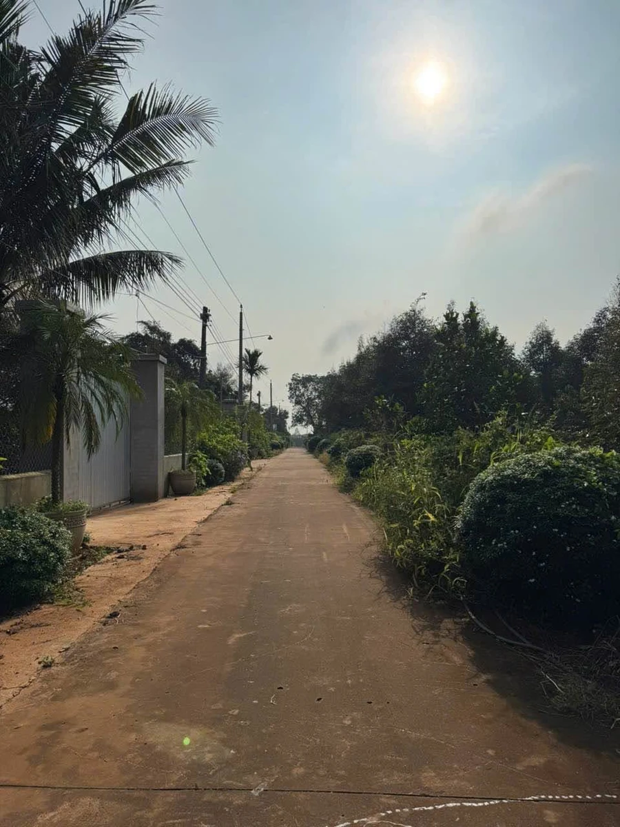 Bán đất 3000m2 tại Cẩm Mỹ, Đồng Nai, giá 4.6 tỷ - Ảnh thu nhỏ 2