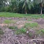 Bán đất nền 377m2 giá 549 triệu, sổ sẵn, Phường An Hội, Vĩnh Long - Ảnh thu nhỏ 2
