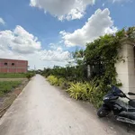 Bán 1.358m² đất Phước Lý Cần Giờ 5,5 tỷ - Ảnh thu nhỏ 5