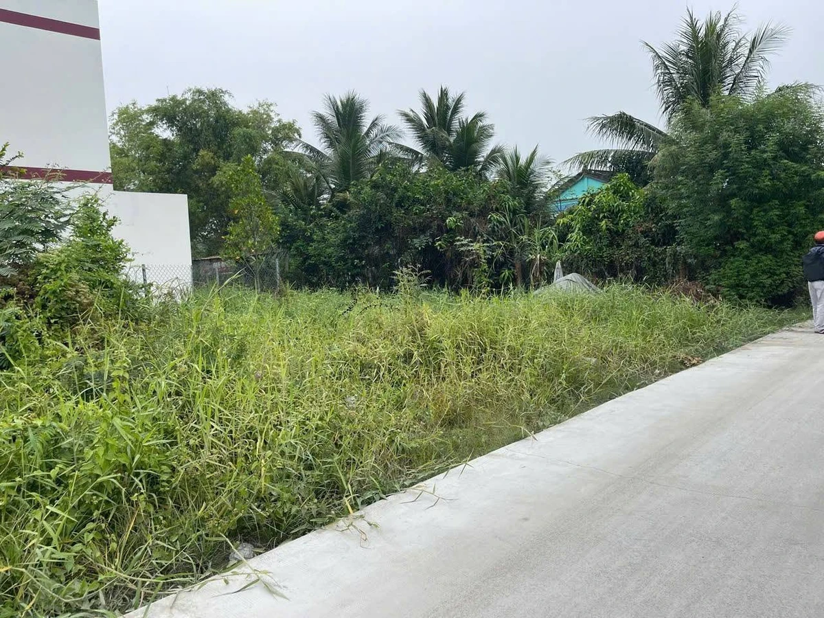 Bán đất thổ cư 248 m² Long Trạch, Long An - Ảnh thu nhỏ 4