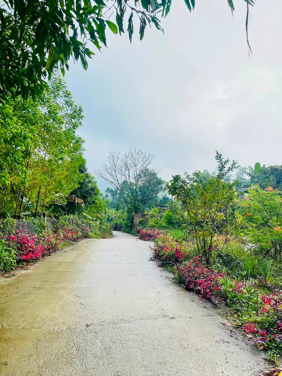Bán đất 150m2, 2 mặt tiền Thăng Bình, Đà Nẵng - Ảnh 1