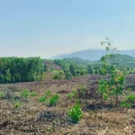 Bán lô đất farm giáp suối 4700m² Nha Trang - Ảnh thu nhỏ 2