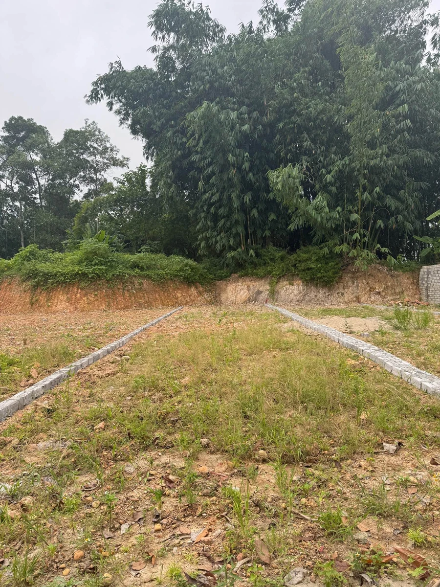 Bán lô đất 88m² mặt tiền ô tô Yên Bái Nhà Bè - Ảnh 1