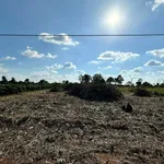 Bán đất Pleiku 100m² thổ cư hẻm Trần Nhật Duật - Ảnh thu nhỏ 4