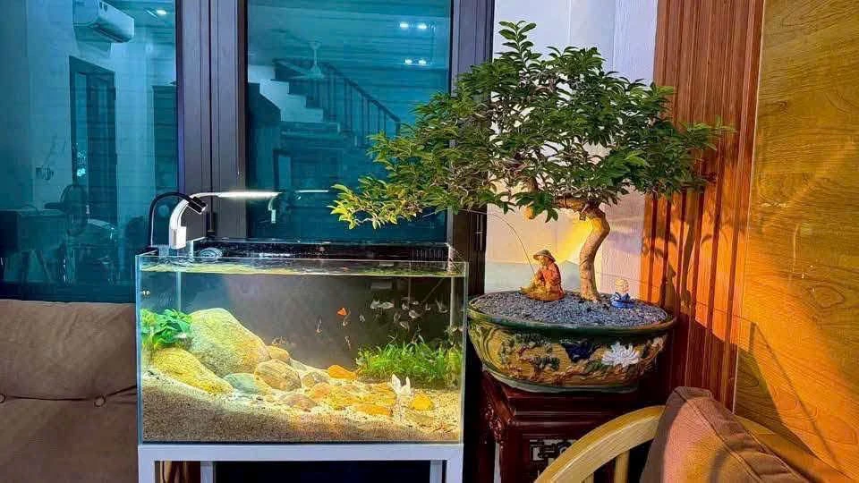 Bán nhà lô góc ngõ Bình Lộc 42,5m² 3 tỷ - Ảnh thu nhỏ 2