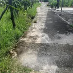 Bán đất thổ cư Hàm Cương 250m2, 395 triệu, Bình Thuận - Ảnh thu nhỏ 3