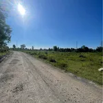 Cho thuê bãi công 15.000m2 Biên Hòa 15 triệu/tháng - Ảnh thu nhỏ 4