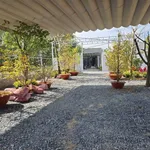 Bán 1.000m2 đất mặt tiền đường 3/2, Hậu Nghĩa, Đức Hòa, Long An, giá 6 tỷ - Ảnh thu nhỏ 1