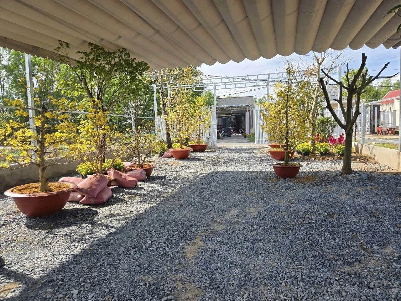 Bán 1.000m2 đất mặt tiền đường 3/2, Hậu Nghĩa, Đức Hòa, Long An, giá 6 tỷ - Ảnh 1