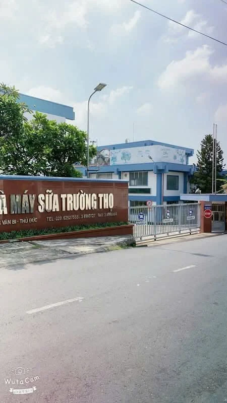 Bán dãy trọ mặt tiền Đường Số 6, Trường Thọ 342,5m² - 31 tỷ - Ảnh thu nhỏ 3