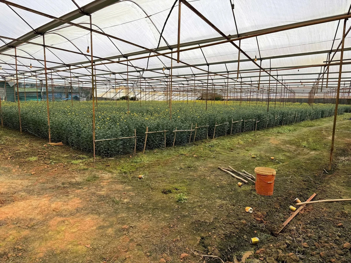 Bán đất hơn 4 sào 4207,4m² hai mặt tiền gần Hồ Than Thở, Đà Lạt giá 26,999 tỷ - Ảnh thu nhỏ 3