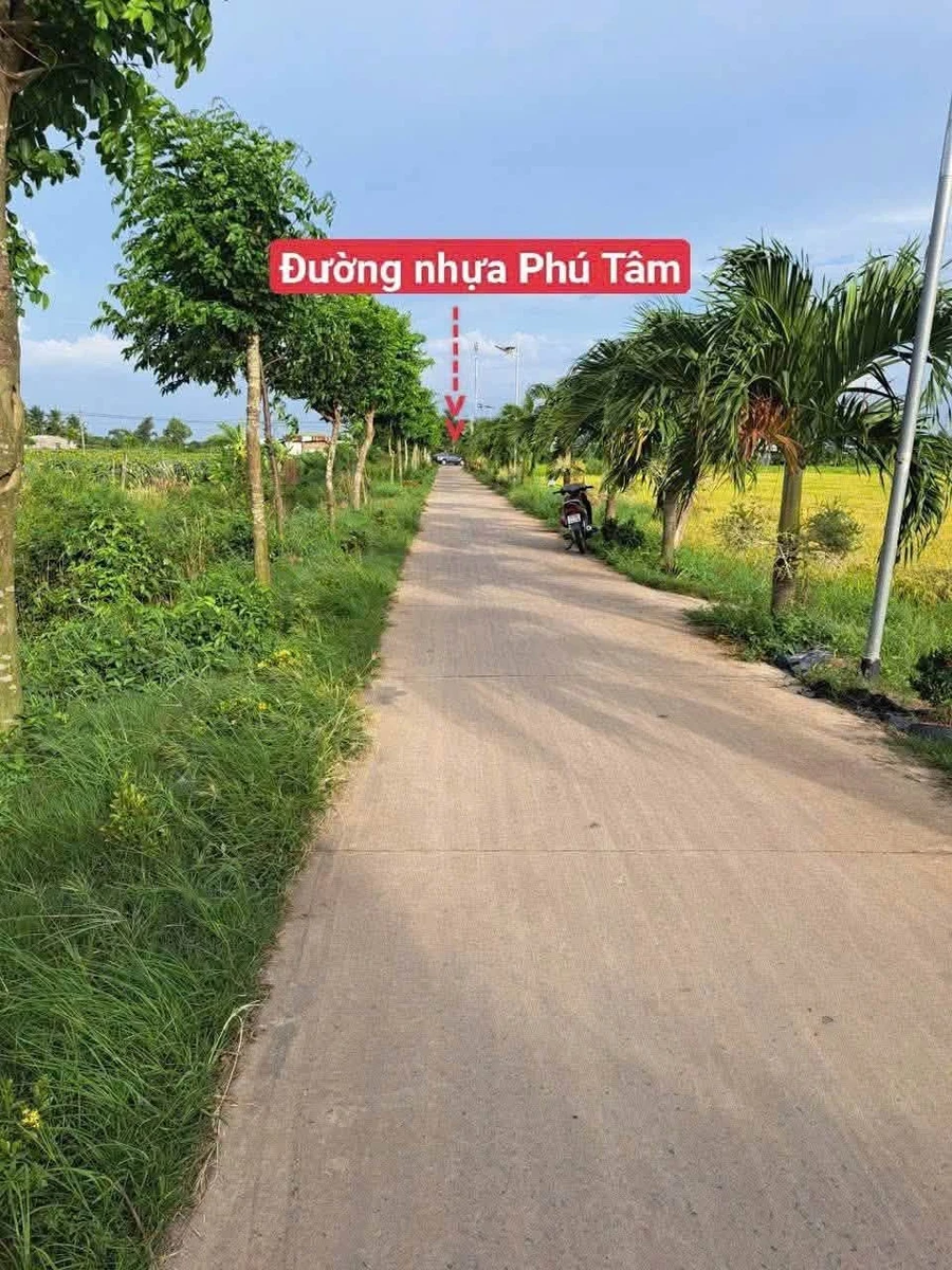 Bán đất nền 1.000m² với 2 sổ, giá 1 tỷ 100 triệu ở Tây Ninh - Ảnh 1