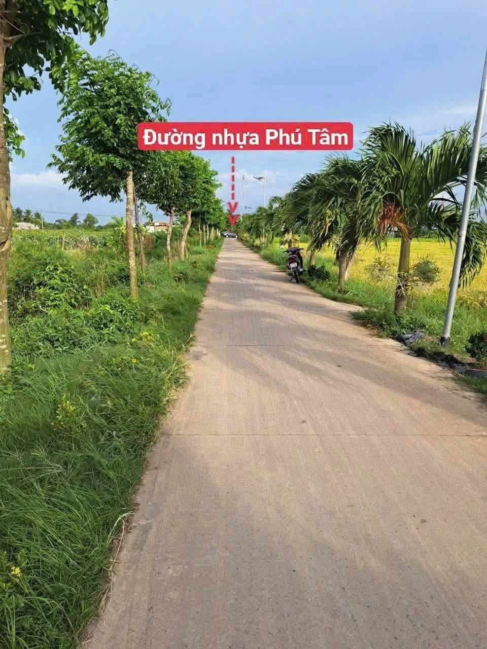 Bán đất nền 1.000m² với 2 sổ, giá 1 tỷ 100 triệu ở Tây Ninh - Ảnh 1