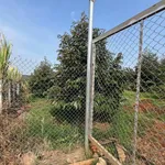 Bán đất vườn sầu riêng 5 sào tại Long Giao, 3.25 tỷ - Ảnh thu nhỏ 2