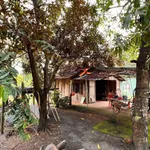 Bán đất vườn cây ăn trái 1.738m² chỉ 380 triệu Bù Đốp - Ảnh thu nhỏ 2