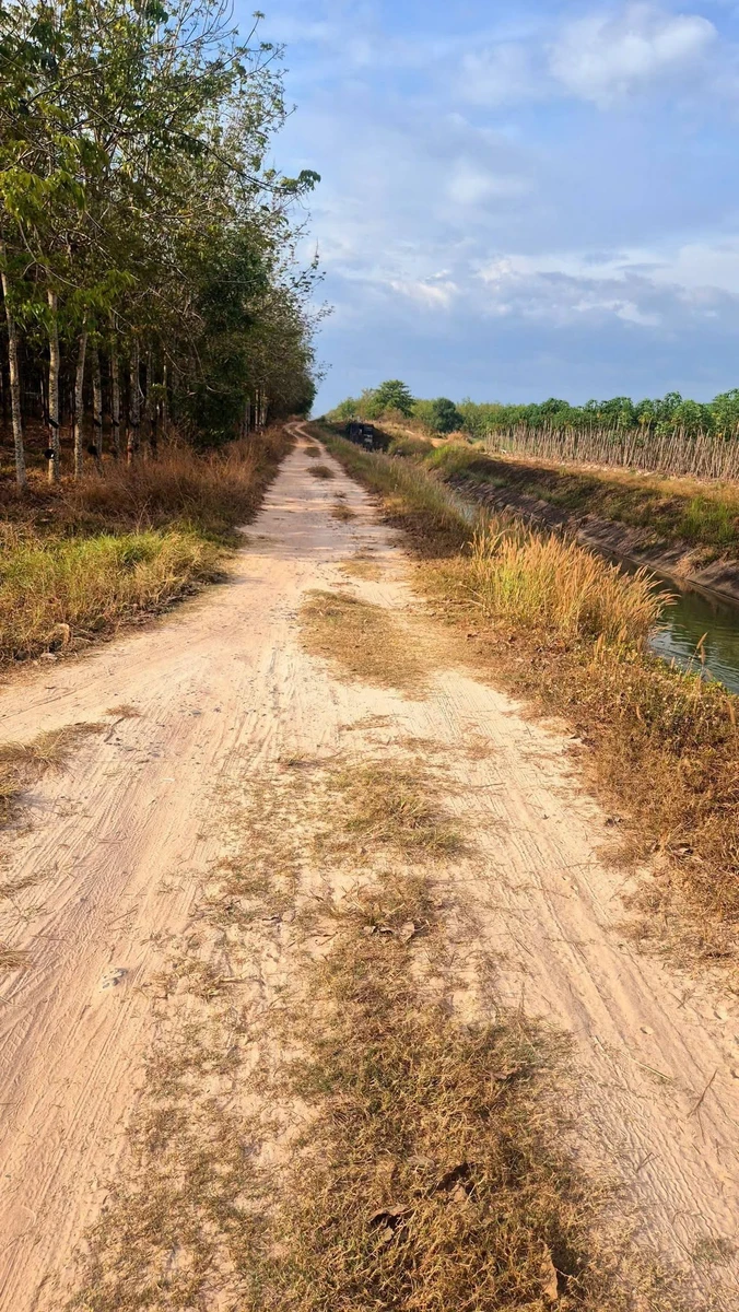 Bán đất 1000m² ở Hảo Dước, Tây Ninh - Ảnh 1
