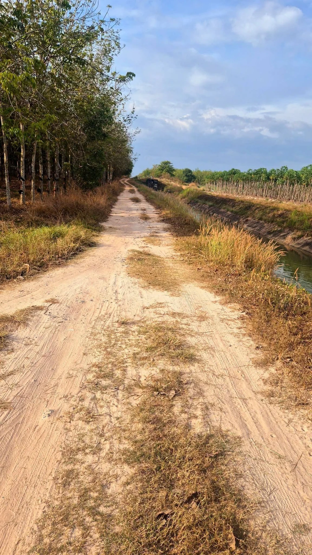 Bán đất 1000m² ở Hảo Dước, Tây Ninh - Ảnh 1