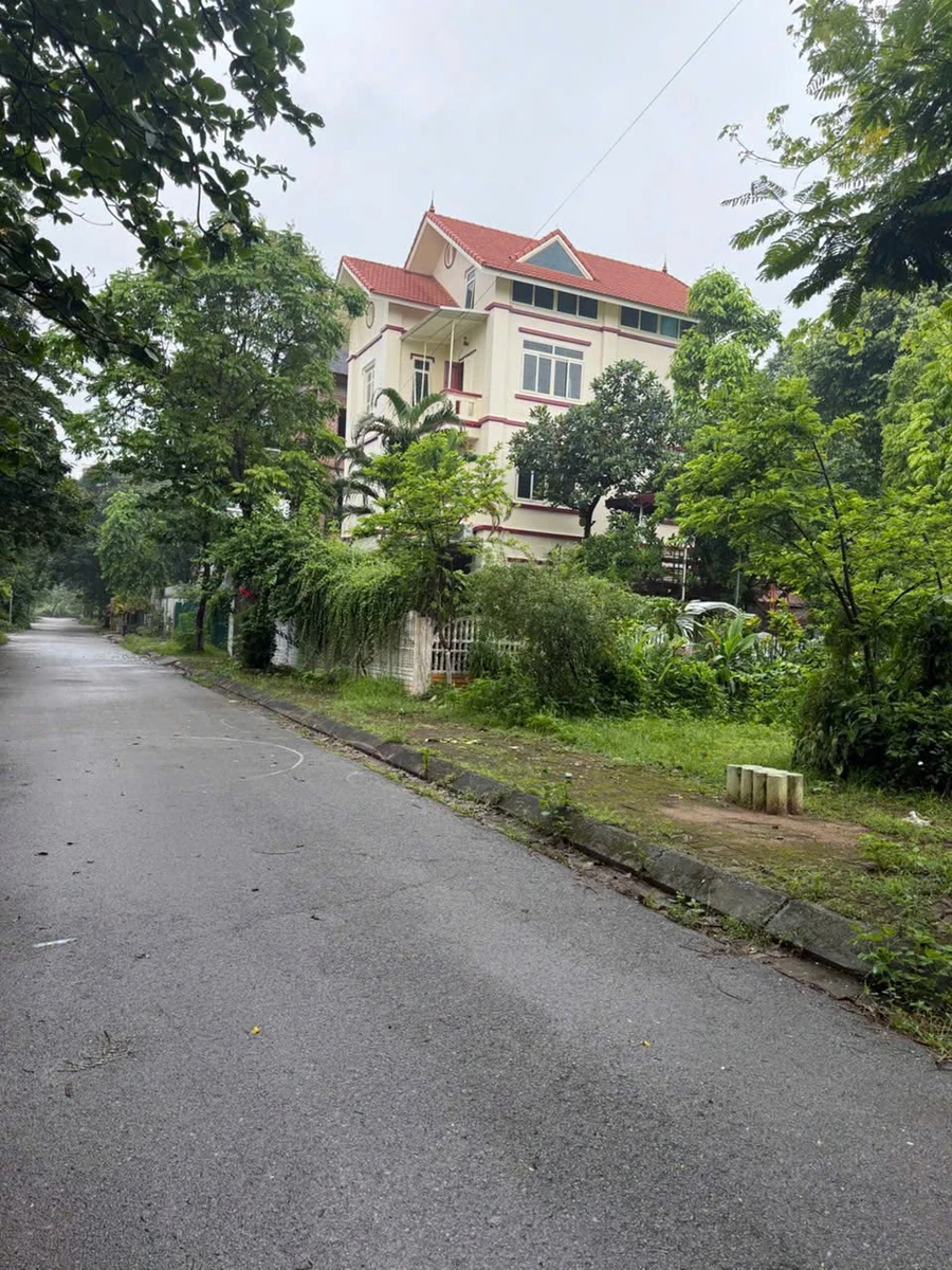 Bán biệt thự 300m² mặt tiền 20m tại KĐT Hà Phong Mê Linh - Ảnh 1