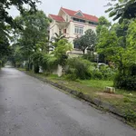 Bán biệt thự 300m² mặt tiền 20m tại KĐT Hà Phong Mê Linh - Ảnh thu nhỏ 1
