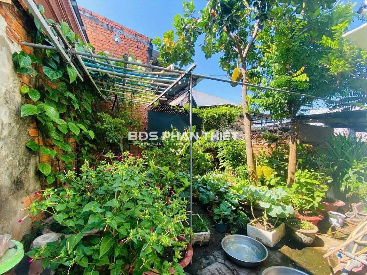 Bán nhà mặt tiền Trần Quý Cáp, 182m², 6,5 tỷ - Ảnh 1