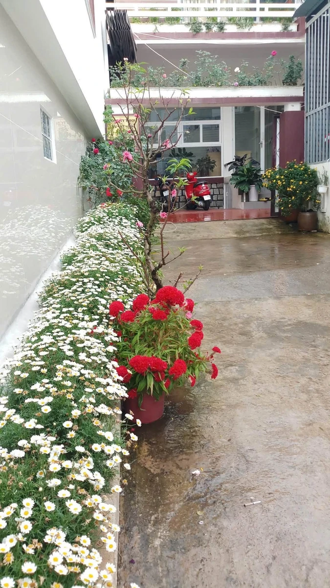Bán nhà 3PN 91m² Nguyễn Trung Trực Đà Lạt - Ảnh thu nhỏ 5