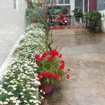 Bán nhà 3PN 91m² Nguyễn Trung Trực Đà Lạt - Ảnh thu nhỏ 5