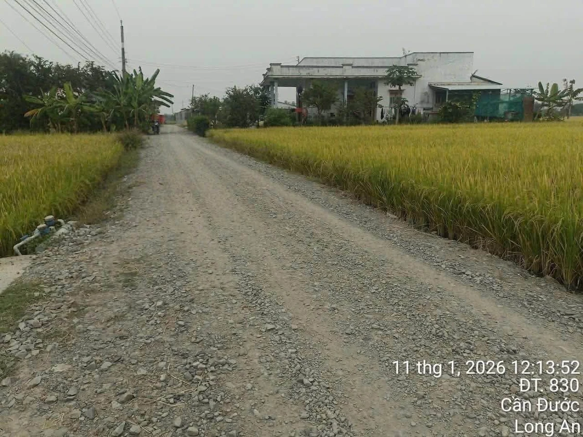 Bán đất thổ cư 1000m2 mặt tiền đường cầu Ông Mộc, Xã Mỹ Lệ, Cần Đước, giá 4,2 tỷ - Ảnh thu nhỏ 3
