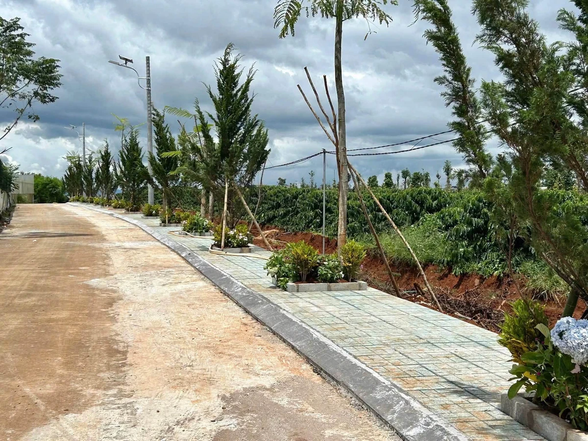 Bán đất thổ cư 100m² từ 570 triệu Tân Hà Lâm Đồng - Ảnh thu nhỏ 2