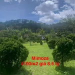 Bán gấp lô đất 4100m2 view rừng thông đường Mimoza, Đà Lạt giá 8,5 tỷ - Ảnh thu nhỏ 1