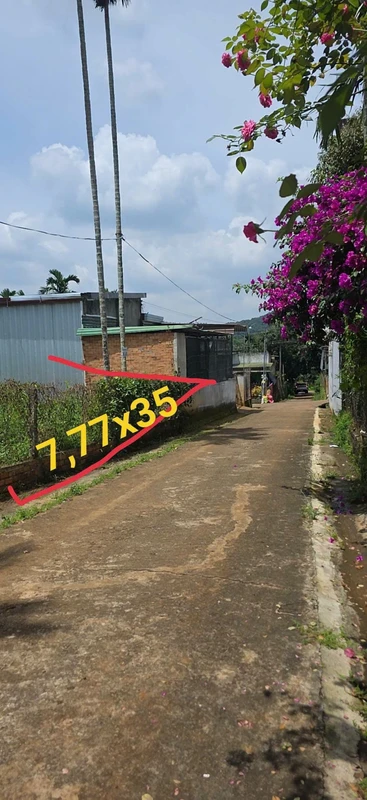 Bán đất Thôn 7 Ea Tiêu Cũ 272m² 1 tỷ 100 triệu