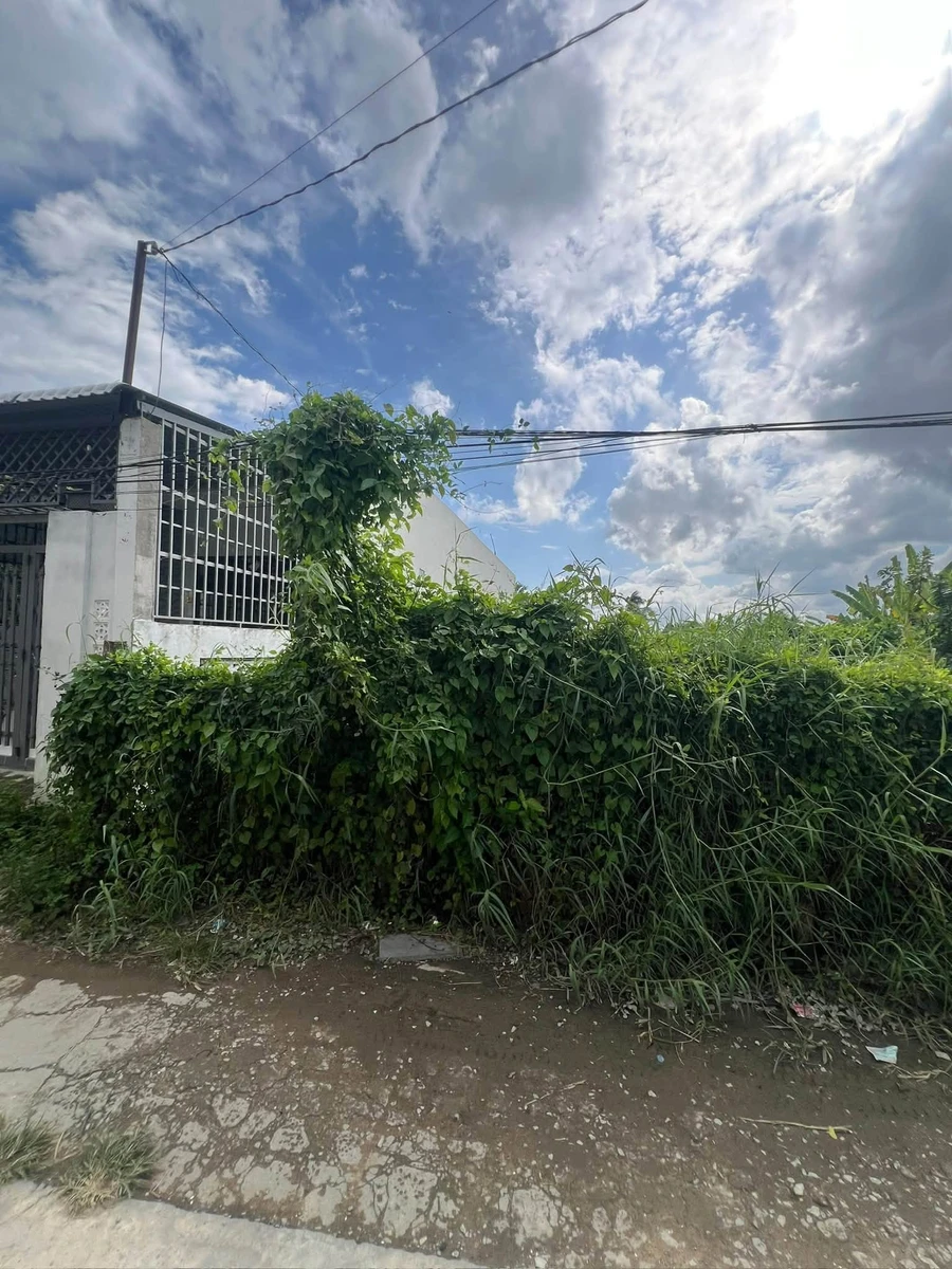 Bán đất thổ cư 125m² hẻm Nguyễn Văn Tiếp 1,2 tỷ - Ảnh thu nhỏ 3