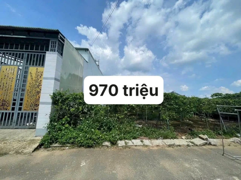 Bán đất 100m² hẻm Nguyễn Đình Chiểu, Bảo Lộc 970 triệu