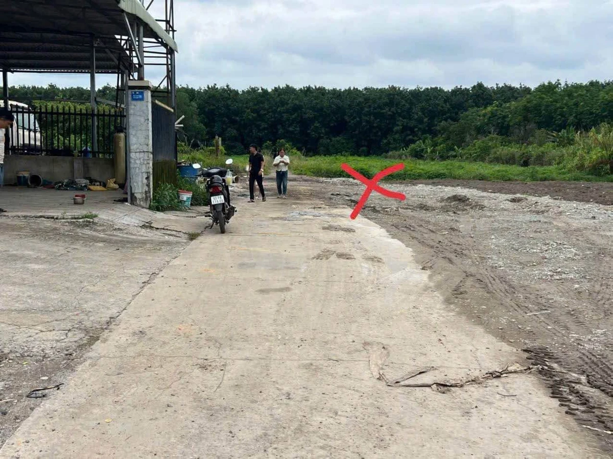 Bán đất Ấp 4 Tân Thành 115m² giá 390 triệu - Ảnh 1