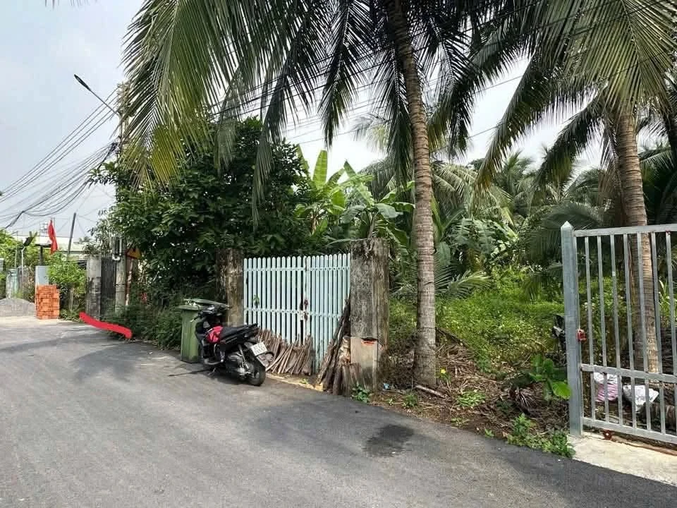 Bán đất mặt tiền Hưng Định 228m2, Bình Chánh - Ảnh thu nhỏ 2