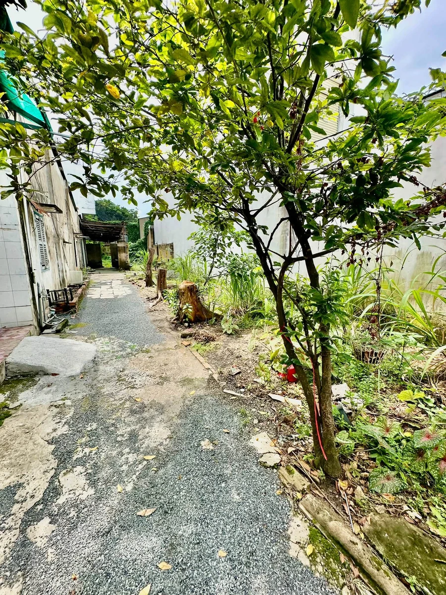 Cho thuê nhà vườn 300m² Biên Hòa 5 triệu/tháng - Ảnh thu nhỏ 5