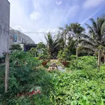 Bán 2 lô đất 81m² hẻm 235 Nguyễn Văn Cừ, Bình Tân - Ảnh thu nhỏ 4