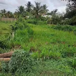Bán đất Lương Hòa Bình Chánh 2.172m² mặt tiền 1 tỷ 8 - Ảnh thu nhỏ 3