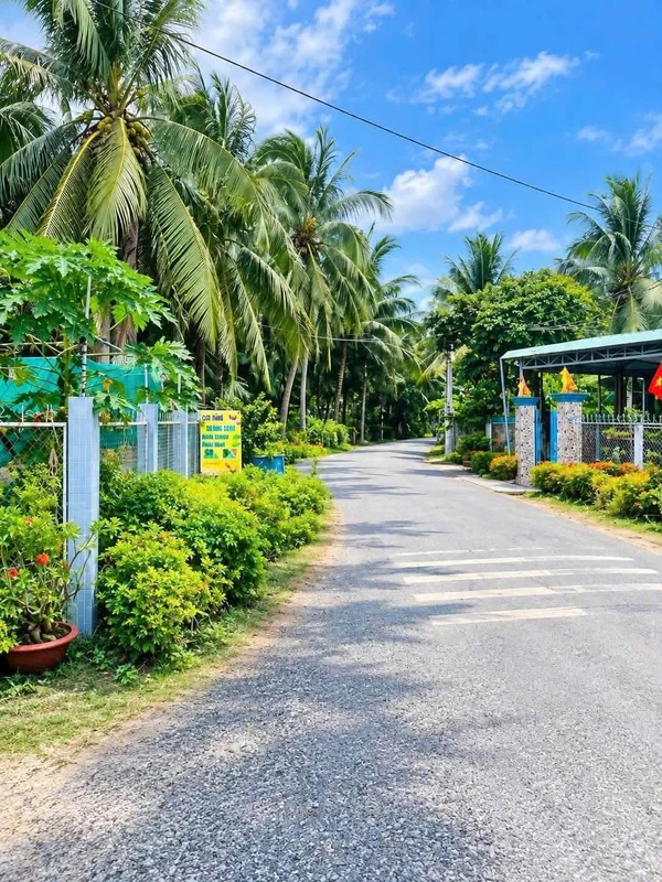 Bán đất mặt tiền 220m² Đê Tây Chợ Gạo Tiền Giang 590 triệu