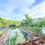 Bán nhà vườn 420m² hẻm 451 Ymoal Nhà Bè 2 tỷ 5 - Ảnh thu nhỏ 2