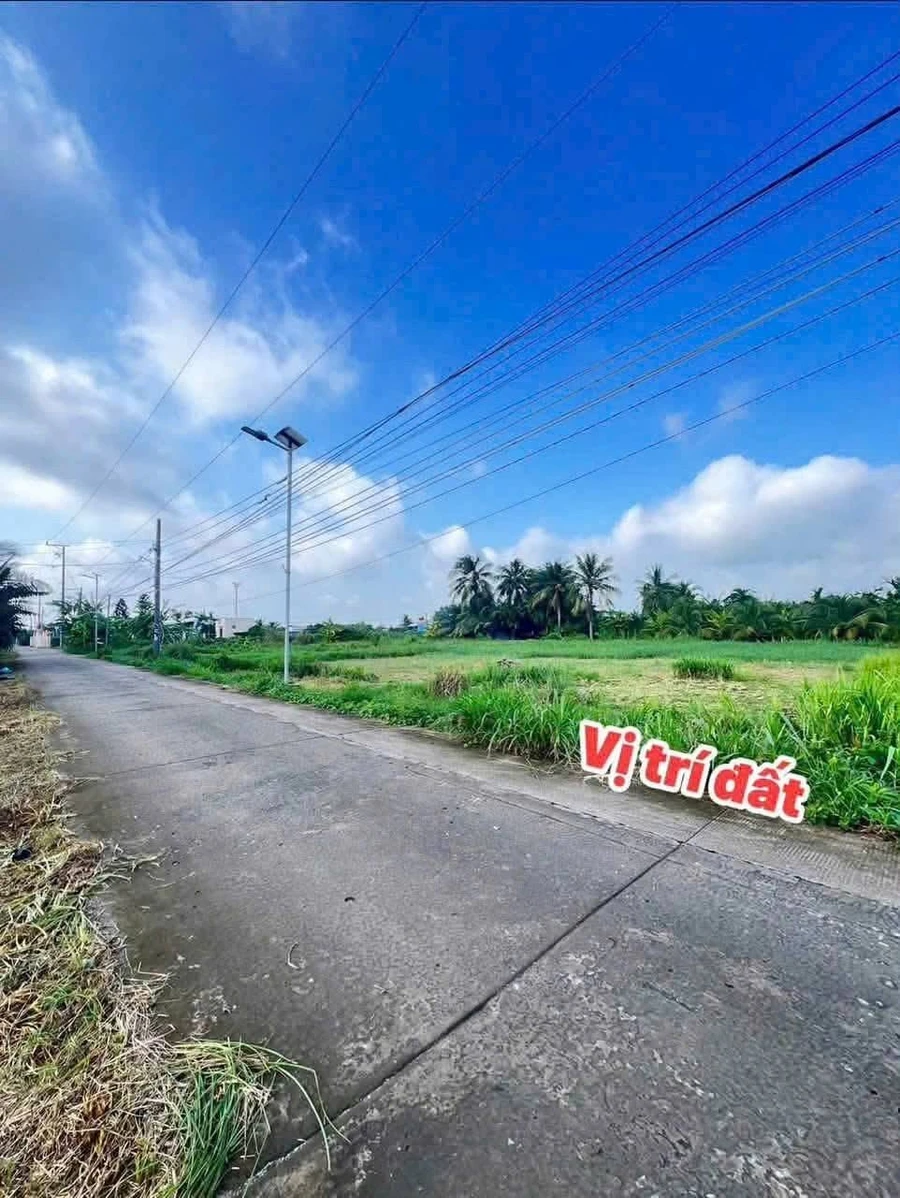 Bán đất thổ cư 110m² Châu Thành Long An 299 triệu - Ảnh thu nhỏ 2