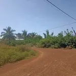Bán 5 công 3 đất ở Phước Minh, Tây Ninh giá 1 tỷ 3 - Ảnh thu nhỏ 2
