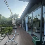 Bán nhà vườn 905m² Tân Bửu, Bến Lức, Tây Ninh 12 tỷ - Ảnh thu nhỏ 3