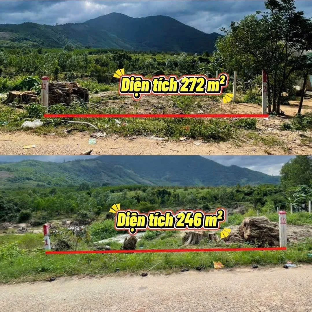 Bán đất Khánh Đông 246m² giá 320 triệu - Ảnh 1
