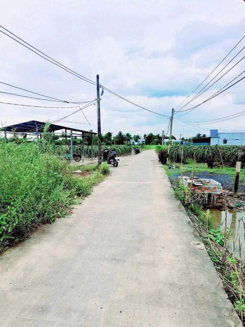 Bán đất thổ cư 115m² mặt tiền đan 4m tại Nhựt Chánh, Bến Lức giá 750 triệu - Ảnh 1