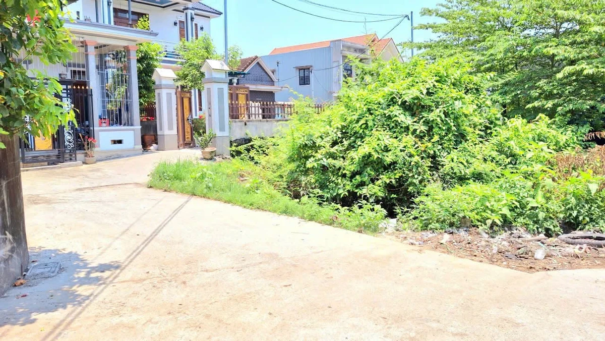 Bán đất 2 mặt tiền kiệt Lý Thái Tổ 60m² 1,2 tỷ - Ảnh thu nhỏ 3