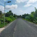 Chính chủ bán 19000m2, khu du lịch sinh thái Khóm cầu đúc, sẵn nhà, thổ cư, sổ hồng riêng - Ảnh thu nhỏ 3